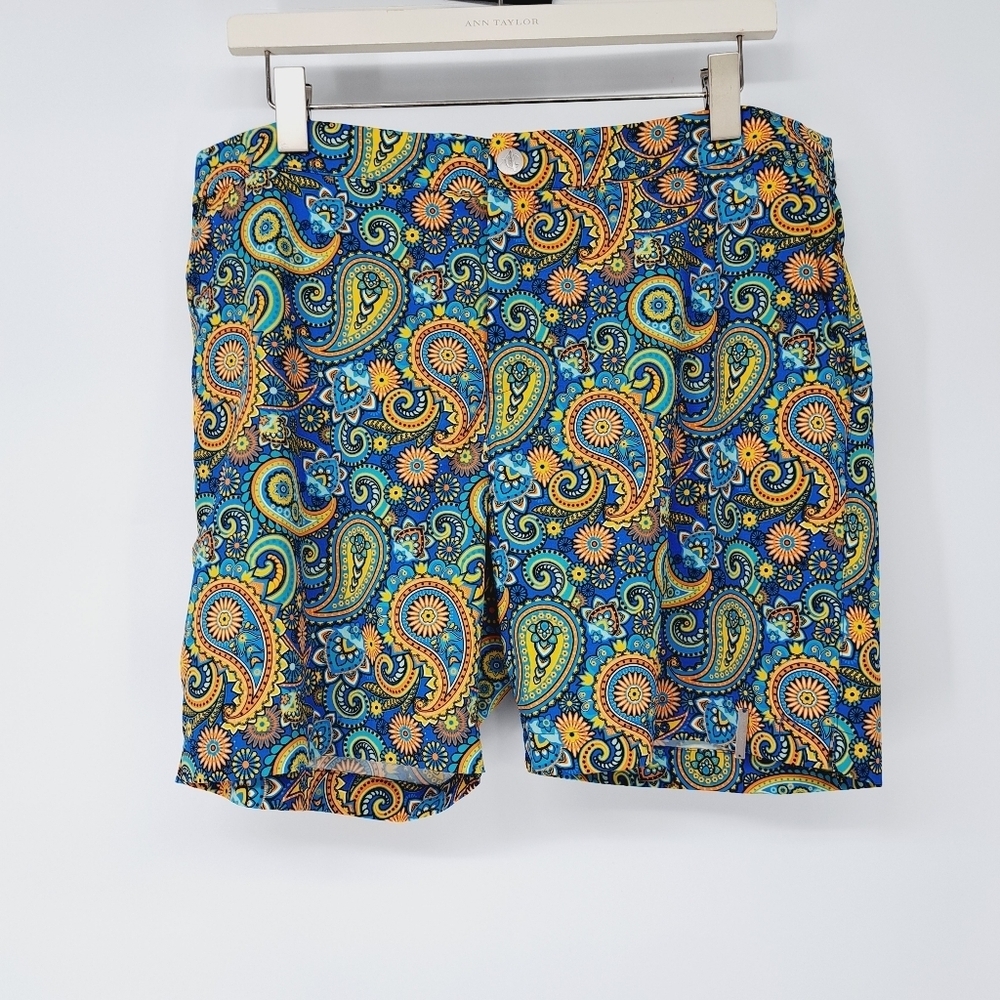 Argyle Grant Retro Paisley Print Beach to Brunch Swim Shorts‎ Size 36